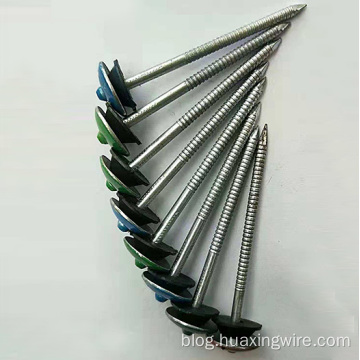 Galvanized roofing nails with umbrellar head